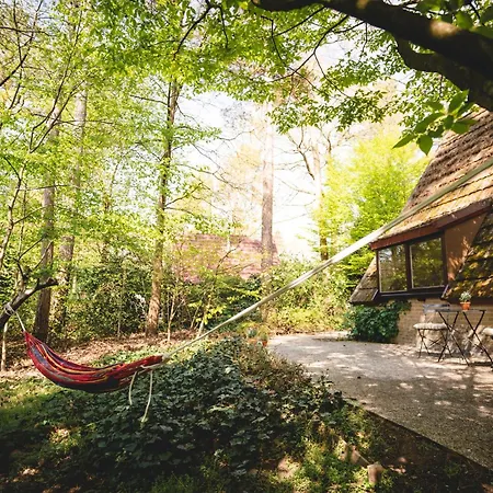 Tatil Evi Boshuisje Rekem - Olive